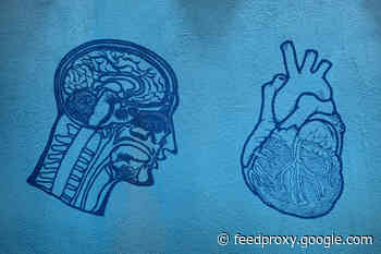 Your Brain Cells Jiggle With Every Heartbeat