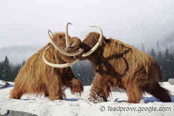 Can We Bring Back Mammoths From Extinction? Probably Not — Here’s Why