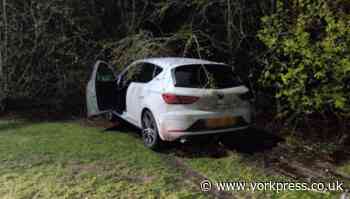 Three men arrested up a tree after 120mph police chase along A64