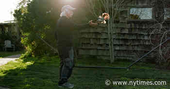 The King of D.I.Y. Dwellings