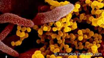 TIMELINE: Here’s how the coronavirus made it to the Houston area - KPRC Click2Houston