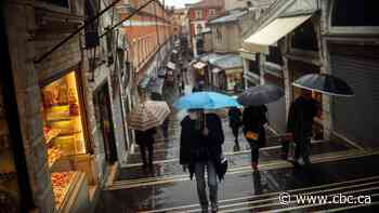 Ottawa's Italian businesses feel effects of lockdown, from prosciutto to guided tours - CBC.ca