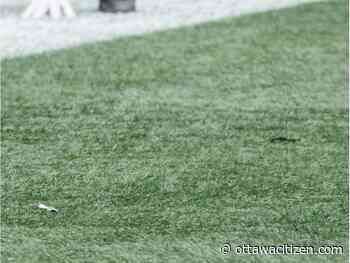 OSEG to replace turf at TD Place - Ottawa Citizen