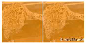 Adventures in CSS Semi-Transparency Land