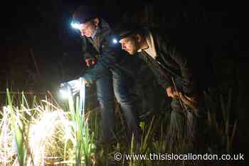 Ealing Wildlife Group racing against time to raise £10,000 to save Costons Lane