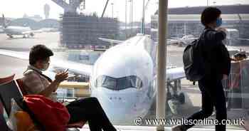 The latest list of cancelled flights due to coronavirus