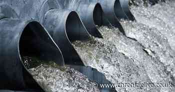 How 'blindingly obvious' sewage dump fears could halt building work on Sunderland's water network