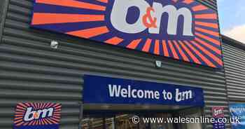 'My life is complete!' The £2.49 product from B&M which means you will never have to iron again