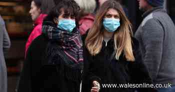 Four new coronavirus cases in Wales including one patient with no travel history