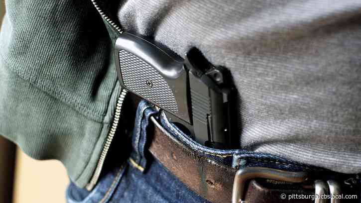 Slippery Rock Borough Passes Resolution To Become Second Amendment Sanctuary