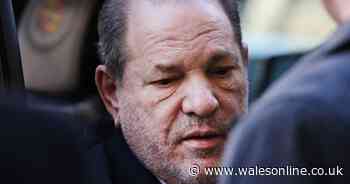 Harvey Weinstein jailed for 23 years for rape and sexual assault