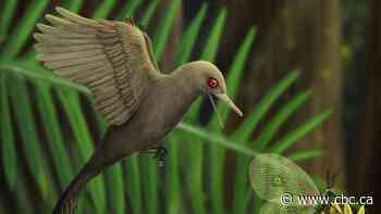 Smallest extinct dinosaur ever found was size of hummingbird