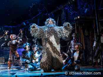 Fantastical Cats scratches the peak of escapist entertainment