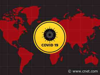 Coronavirus is a pandemic: What that means for you     - CNET