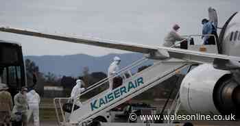 Should I still go on holiday because of coronavirus? The latest coronavirus travel advice