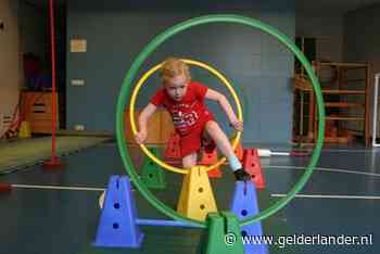 Briljant idee: een gymzaal huren om te apenkooien