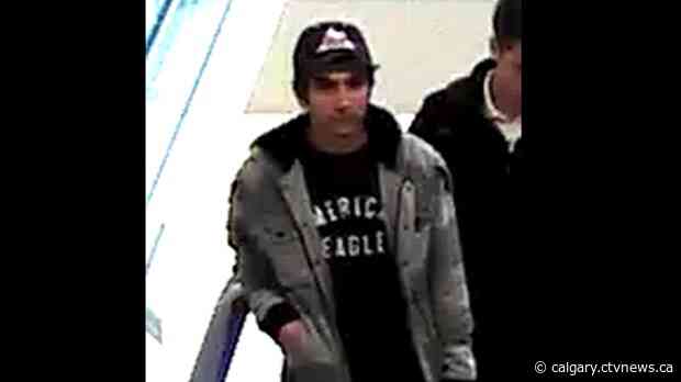 B.C. man convicted of robbing Calgary sex trade workers appeals 5.5 year sentence