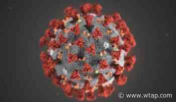 Local health, medical professionals discuss coronavirus - WTAP-TV
