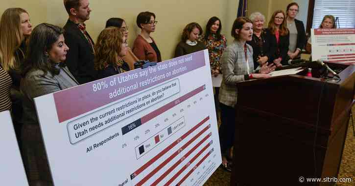 Michelle Deininger: Anti-choice Utah legislators are making themselves obsolete