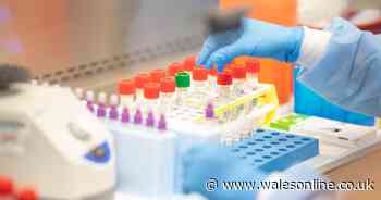 Welsh rugby match called off over link to coronavirus