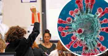 The latest coronavirus advice for parents, pupils and teachers on schools and exams