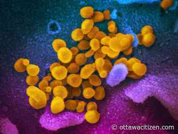 Update: First COVID-19 case identified in Ottawa — man was asymptomatic on flight from Austria