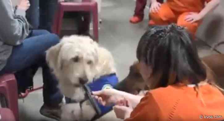 Therapy dogs bring joy to Virginia inmates