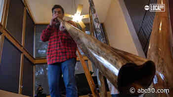Texas trees used to make unique music with didgeridoos