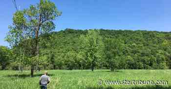 Minnesota protects 200 acres of rare prairies, old-growth forests in Red Wing
