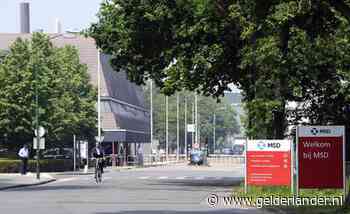 Farmaceut MSD wordt weer Organon: deel  Nederlandse activiteiten herkrijgt ook oude naam