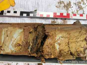 Arsenic Contamination in Groundwater Influenced by Natural Organic Matter