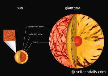 Stellar Dynamos: Turbulent Convection at the Heart of Star Activity