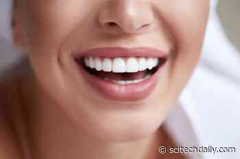 Teeth That Repair Themselves – Study Finds Success With Natural Tooth Repair Method