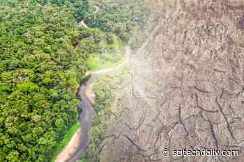 “Point of No Return” – Amazon Rainforest Could Be Gone Within 50 Years