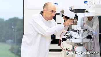 Surprising Impact on Fat Metabolism: How Intermittent Fasting Changes Liver Enzymes and Helps Prevent Disease