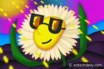 Remarkable Mechanism Plants Use to Protect Themselves From Sun Damage