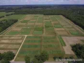 Research Shows Significant Mitigation of Global Warming Is Possible With Biomass Fuels