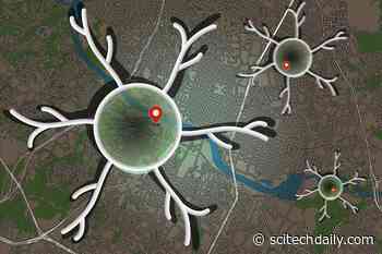 MIT Neuroscientists Identify “Landmark Code” in the Brain That Helps Us Navigate