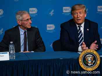 The US's top infectious-diseases expert said 'it would be nice' if Trump hadn't scrapped the NSC's global-health unit