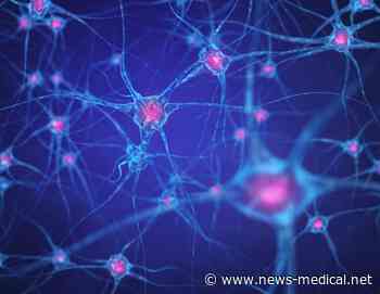 BIN1 deficit leads to impaired spatial learning and memory