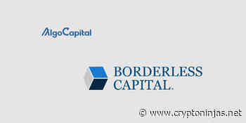 Algorand focused venture firm Algo Capital rebrands to Borderless Capital - CryptoNinjas