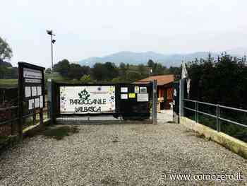 Coronavirus – Chiudono i canili di Erba, Mariano Comense e Valbasca. Adozioni possibili: ecco come fare - ComoZero