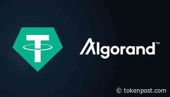 Tether launches USDT stablecoin Algorand's blockchain platform - TOKENPOST