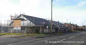 Fuel thief snared by dog and security man as he siphoned diesel from digger