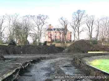 Resident raises concerns over impact of Ham Polo Club works on wildlife