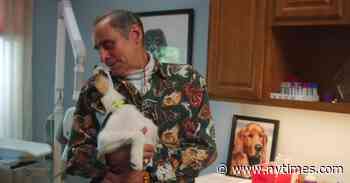 ‘The Dog Doc’ Review: How Puppies Heal (and Heel)