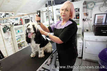 Bolton dog groomer ordered to close her garden shed business in planning row