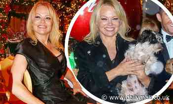 Pamela Anderson cuddles up to an adorable dog at Christmas market launch in Austria - Daily Mail