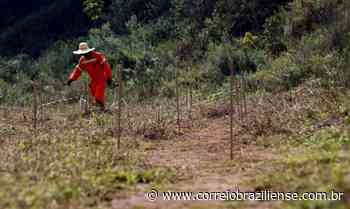 Mariana: estudos mostram caminhos para recuperar solo com rejeitos - Correio Braziliense