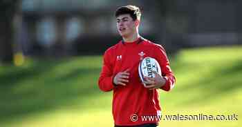 The Wayne Pivac Q&A: The reasons why I haven't picked Louis Rees-Zammit in this Six Nations campaign